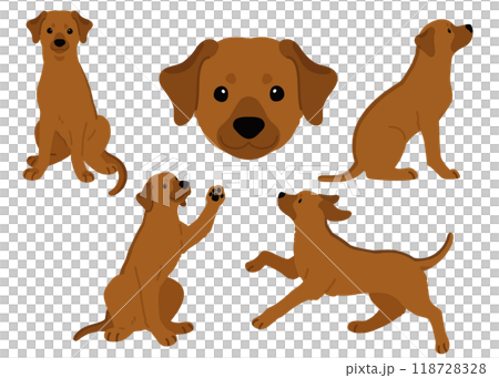 Simple and cute Rhodesian Ridgeback illustration set (no main lines) 118728328