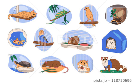 Set of vector pet or domestic animals. Companion 118730696