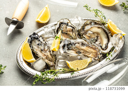 raw oysters on a platter on a light background top view. place for text 118731099