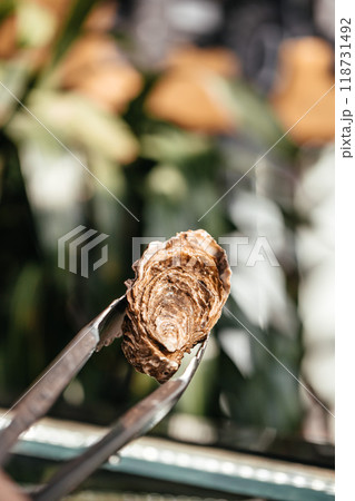 Tongs Holding fresh Oyster on a blurred background. space for text Tongs Holding fresh Oyster on a blurred background. space for text 118731492
