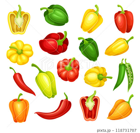 Pepper Vegetable Bright Agricultural Crop Whole and Half Vector Set Pepper Vegetable Bright Agricultural Crop Whole and Half Vector Set 118731707