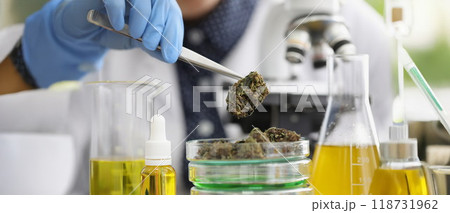 Glass container with marijuana buds on it placed for laboratory investigation 118731962