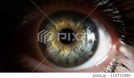 Persons eye with beautiful green shades taken in macro shot 118731980