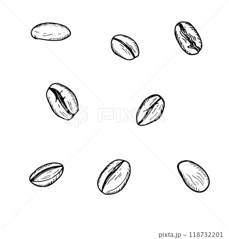 Realistic aromatic roasted coffee beans with detailed textures vector isolated illustration clip art. Organic raw grains in different shapes set for cafe coffee product promotion, cafe decor. 118732201