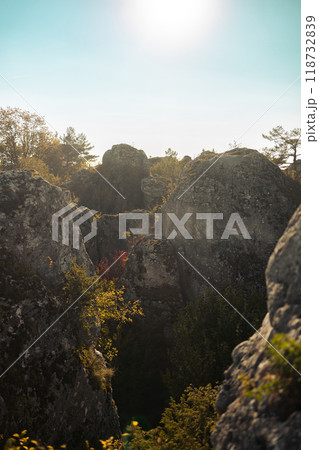 A rocky hillside with trees atop, displaying terrestrial plants and mountainous formations under the sky, presenting a natural landscape A rocky hillside with trees atop, displaying terrestrial plants and mountainous formations under the sky, presenting a natural landscape 118732839