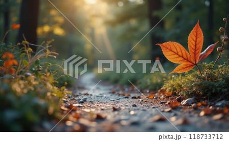 A delicate butterfly rests on an orange leaf, perched on the forest floor during autumn. The scene is calm and natural. 118733712