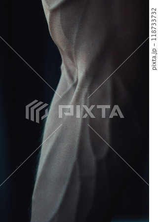 Close-up of power fitness man's hand with prominent veins. Macrophoto of hand of strong young man 118733732