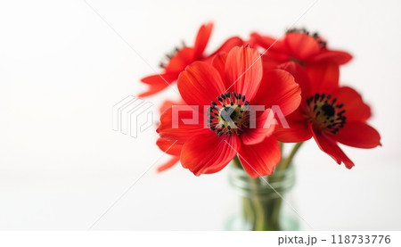 A bright bouquet of red flowers in a glass vase stands out against a clean background. The vivid red petals create a strong contrast. 118733776