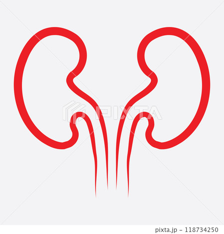 Kidney icon vector. Kidney icon vector. 118734250