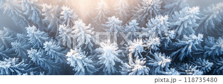 Frost-covered evergreen trees bask in soft sunlight during a serene winter morning in a snowy forest landscape. Frost-covered evergreen trees bask in soft sunlight during a serene winter morning in a snowy forest landscape. 118735480