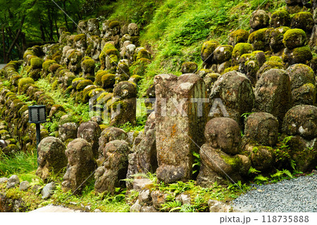 Otagi Nenbutsuji Temple in Arashiyama, Kyoto, Japan 118735888
