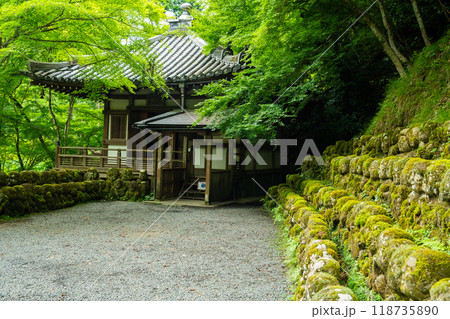 Otagi Nenbutsuji Temple in Arashiyama, Kyoto, Japan Otagi Nenbutsuji Temple in Arashiyama, Kyoto, Japan 118735890