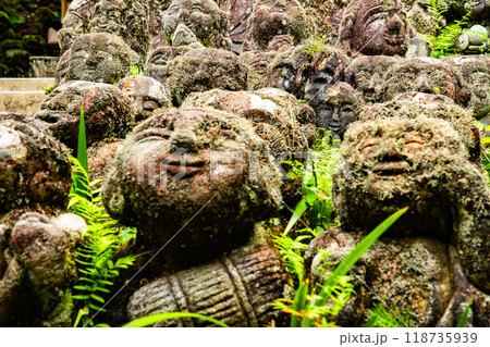 Otagi Nenbutsuji Temple in Arashiyama, Kyoto, Japan Otagi Nenbutsuji Temple in Arashiyama, Kyoto, Japan 118735939