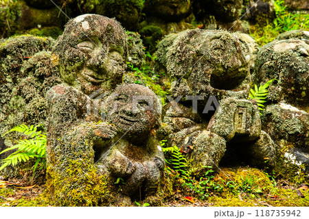 Otagi Nenbutsuji Temple in Arashiyama, Kyoto, Japan 118735942