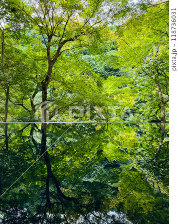 Japanese garden view with reflection and flowers, in Arashiyama Kyoto, Japan 118736031