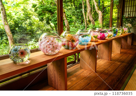 Japanese garden view with reflection and flowers, in Arashiyama Kyoto, Japan Japanese garden view with reflection and flowers, in Arashiyama Kyoto, Japan 118736035