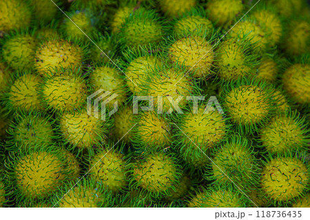 Fresh Rambutan natural beauty highlighting their small round shapes Fresh Rambutan natural beauty highlighting their small round shapes 118736435