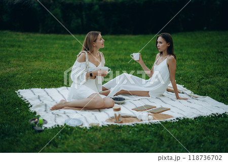 Two friends enjoying tea on a picnic blanket in a green park setting 118736702