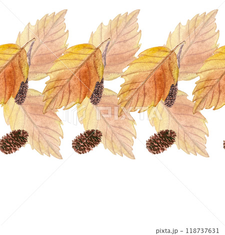Alder leaf in orange shades with its cones hand painted watercolor seamless border isolated on white. High quality art in for woodland designs, cards, posters, textile, packages, textile, stationary Alder leaf in orange shades with its cones hand painted watercolor seamless border isolated on white. High quality art in for woodland designs, cards, posters, textile, packages, textile, stationary 118737631