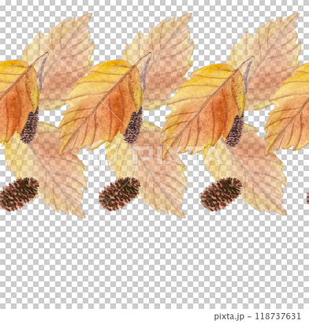 Alder leaf in orange shades with its cones hand painted watercolor seamless border isolated on white. High quality art in for woodland designs, cards, posters, textile, packages, textile, stationary Alder leaf in orange shades with its cones hand painted watercolor seamless border isolated on white. High quality art in for woodland designs, cards, posters, textile, packages, textile, stationary 118737631