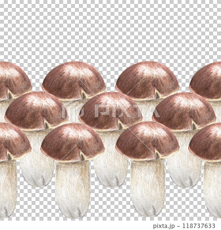 Porcini mushroom seamless border in pencils and watercolor isolated on white. High quality hand painted botanical plant design element perfect for textile, banners, posters, stationary, autumn decor 118737633
