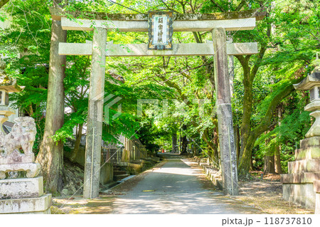 滋賀県犬上郡多賀町　胡宮（このみや）神社　裏参道の鳥居 118737810