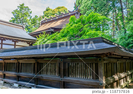 滋賀県犬上郡多賀町 胡宮(このみや)神社 本殿 (多賀大社の奥宮) 滋賀県犬上郡多賀町 胡宮(このみや)神社 本殿 (多賀大社の奥宮) 118737816