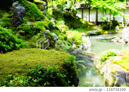 滋賀県犬上郡甲良町　西明寺（湖東三山）　名勝庭園（蓬莱庭） 118738100