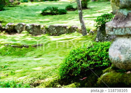 滋賀県犬上郡甲良町　西明寺（湖東三山）　名勝庭園（蓬莱庭）　苔庭 118738105