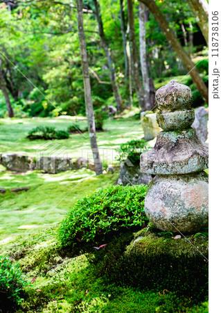 滋賀県犬上郡甲良町　西明寺（湖東三山）　名勝庭園（蓬莱庭）　苔庭 118738106