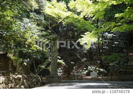 石上神宮・参道 石上神宮・参道 118738178