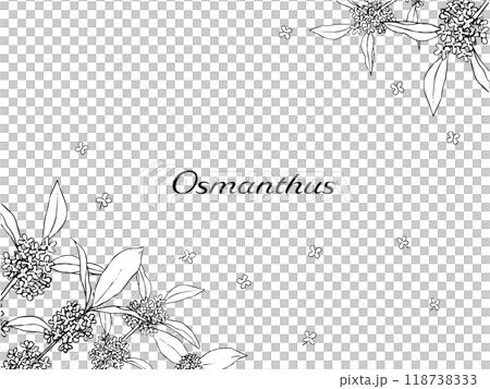 キンモクセイの線画のフレーム 118738333