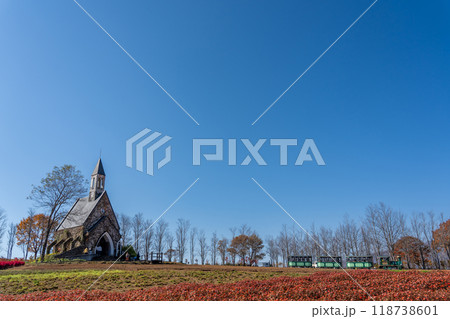 岐阜県郡上市　秋のひるがの高原牧歌の里の花畑の向こうに見える教会とトレイン 118738601