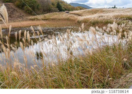 奈良県宇陀郡曽爾村にある秋の曽爾高原に生えるすすきとお亀池 奈良県宇陀郡曽爾村にある秋の曽爾高原に生えるすすきとお亀池 118738614