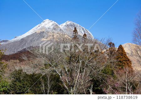 冬の由布岳 118738619