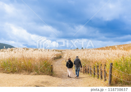 奈良県宇陀郡曽爾村にある秋の曽爾高原に生えるすすきと散策路 118738637