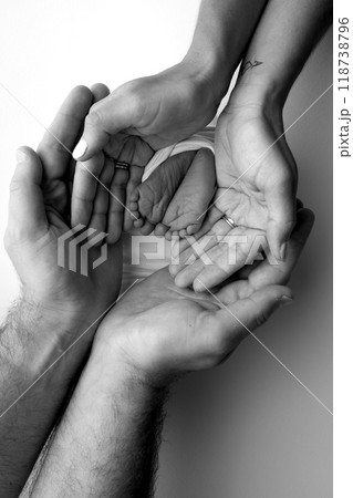 The palms of the parents. A father and mother hold the feet of a newborn child in a blanket. The feet of a newborn in the hands of parents. Black and white Photo of foot, heels and toes The palms of the parents. A father and mother hold the feet of a newborn child in a blanket. The feet of a newborn in the hands of parents. Black and white Photo of foot, heels and toes 118738796