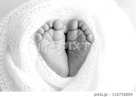 Foot of a newborn. Close up feet, toes, heels, feet of a newborn baby. Studio monochrome, vintage style, black and white macro photography. 118738804