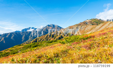秋の唐松岳登山（八方山から鹿島槍ヶ岳・五竜岳・唐松岳を望む） 118739199