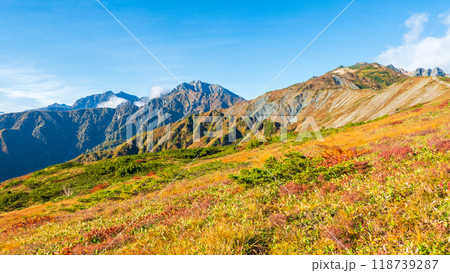 秋の唐松岳登山(八方山から鹿島槍ヶ岳・五竜岳・唐松岳を望む) 秋の唐松岳登山(八方山から鹿島槍ヶ岳・五竜岳・唐松岳を望む) 118739287