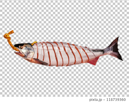 新巻鮭（切り身） 118739360