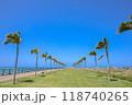 沖縄県豊見城市のヤシの木ロード 118740265