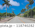 沖縄県南城市のヤシ並木 118740282