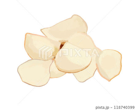 百合根（鱗片） 118740399