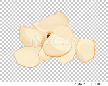 百合根（鱗片） 118740399