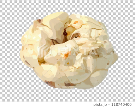 Lily root (root tuber) 118740400