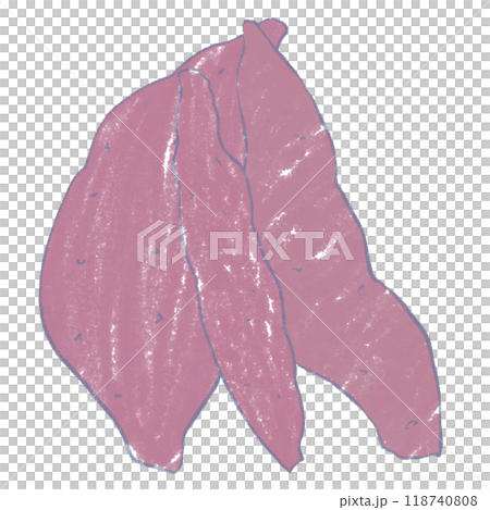 さつまいものイラスト素材 118740808