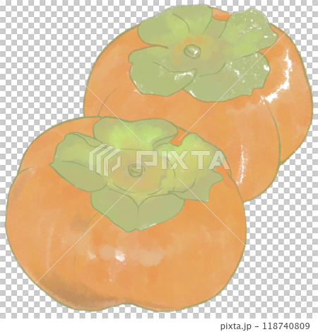 柿のイラスト素材 118740809