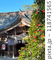 赤い牡丹と春の日差しの中の神社 118741565