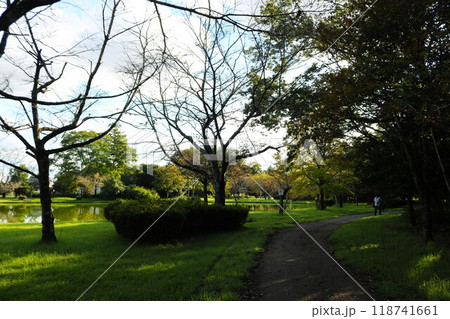 暑さが過ぎた静かな秋 池のある公園 暑さが過ぎた静かな秋 池のある公園 118741661